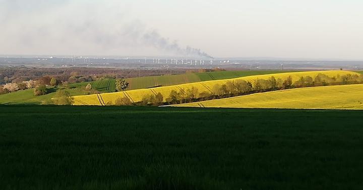 Zum Felsenrundgang